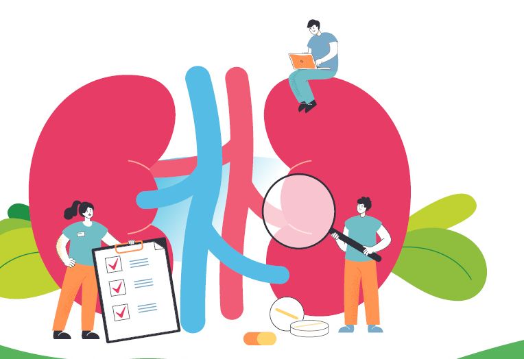 Grafika ledvic ob svetovnem dnevu ledvic.