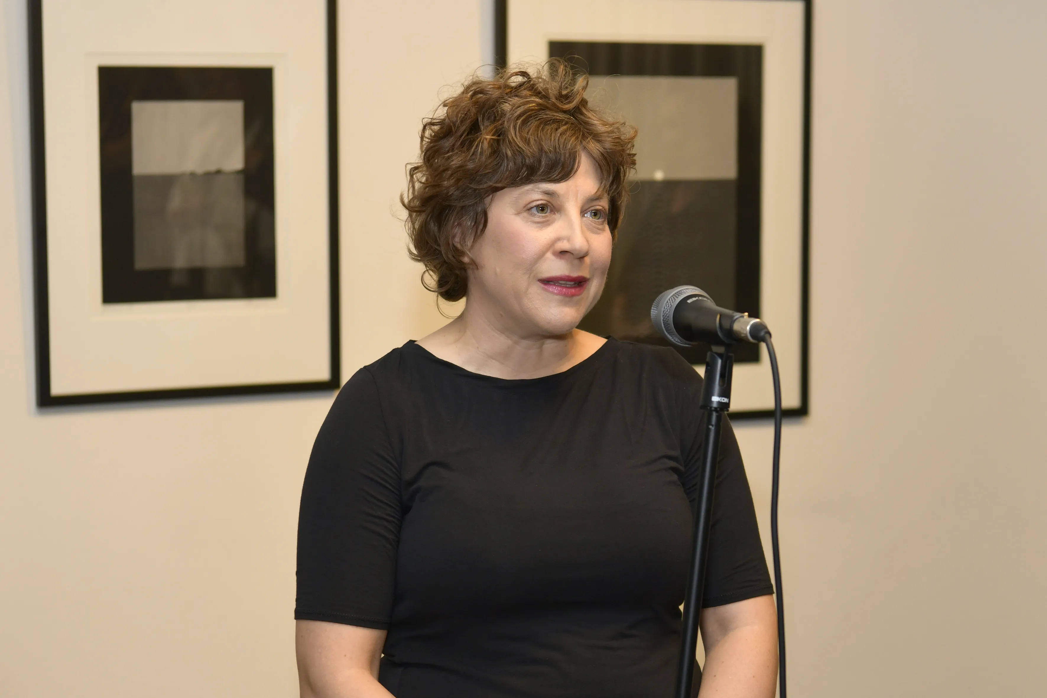 Razstava Nedeljka Pečanca