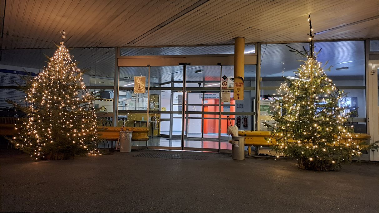 Okrašeni smreki pred šempetrsko bolnišnico.