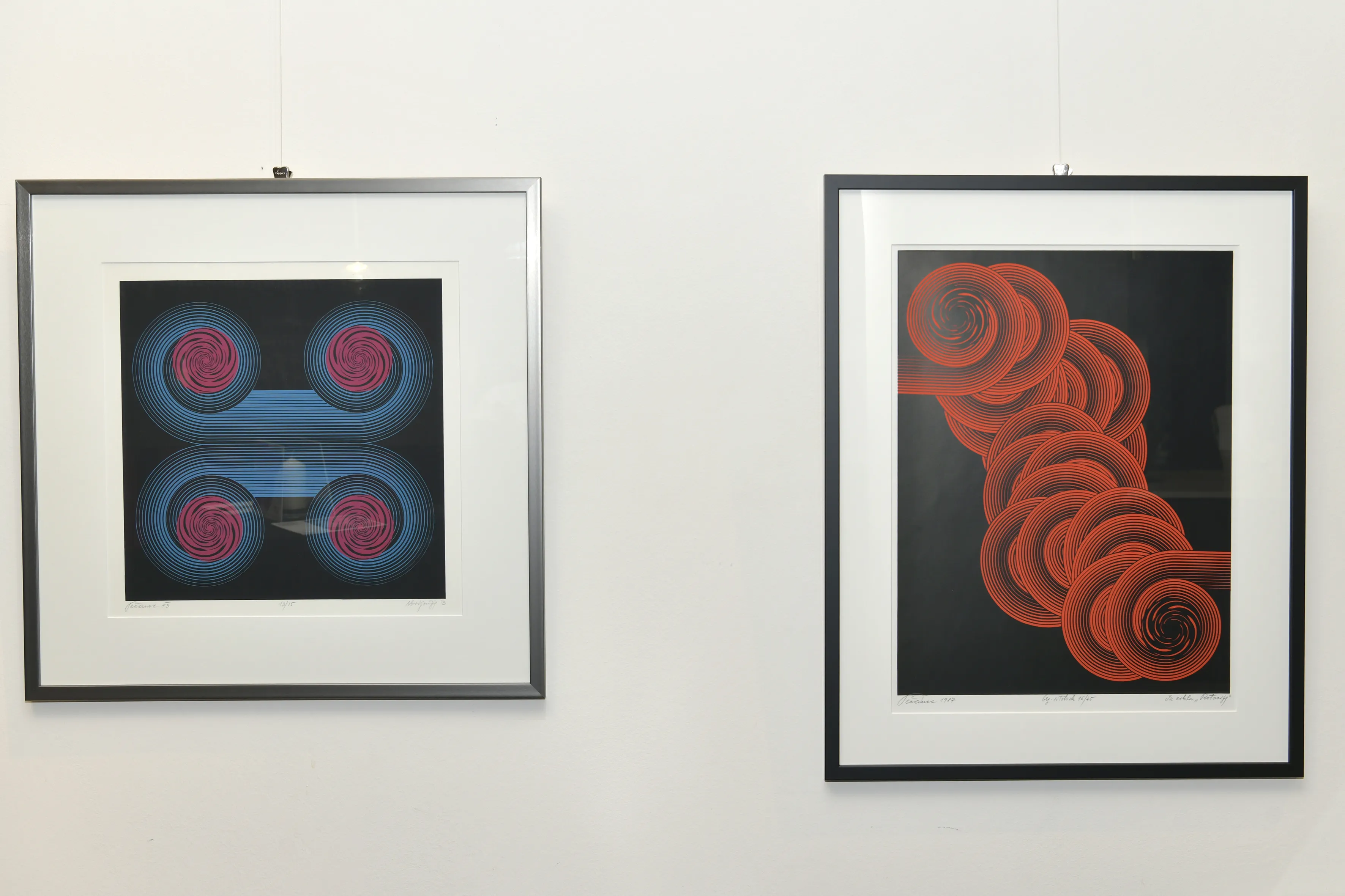 Razstava Nedeljka Pečanca