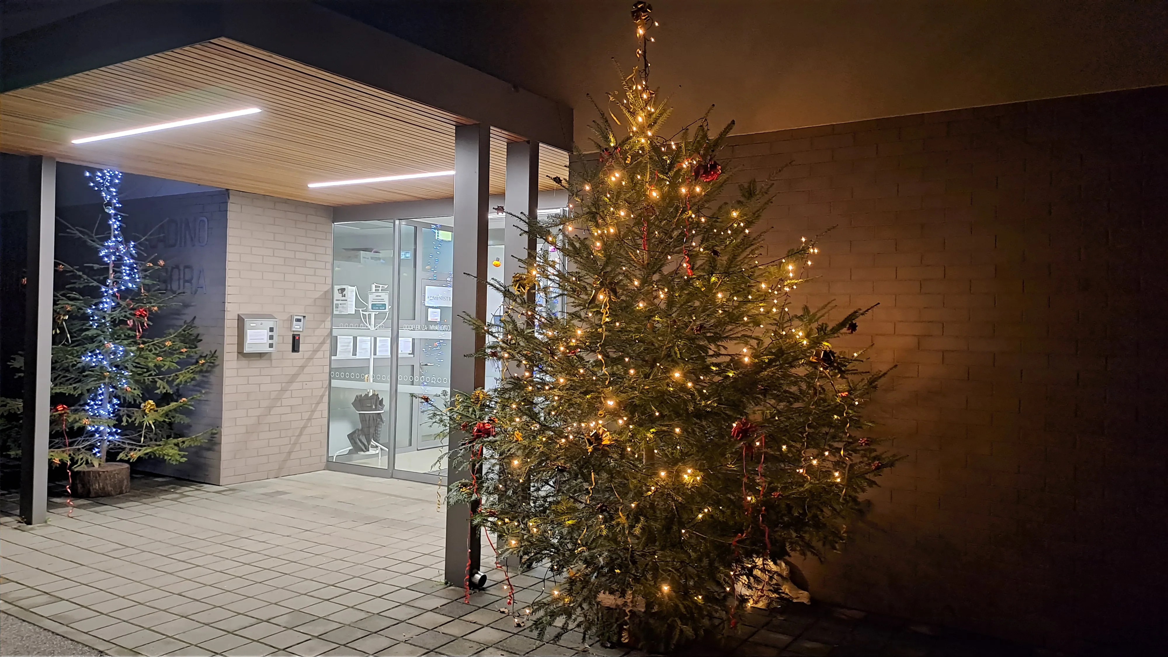 Okra&scaron;eni smreki pred Oddelkom za invalidno mladino in rehabilitacijo Stara Gora.